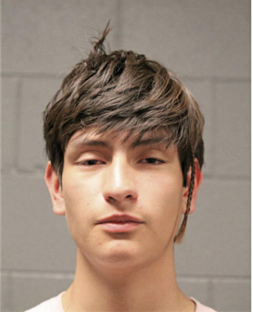 MIGUEL ESTRADA, Cook County, Illinois