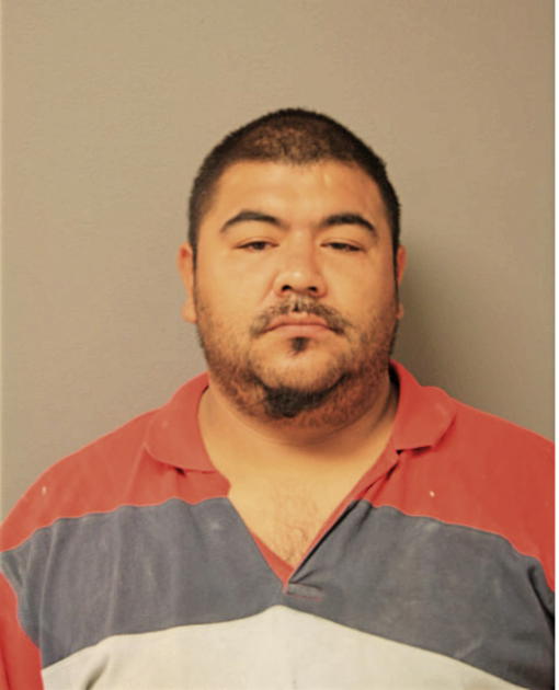 STANLY ESTRADA, Cook County, Illinois
