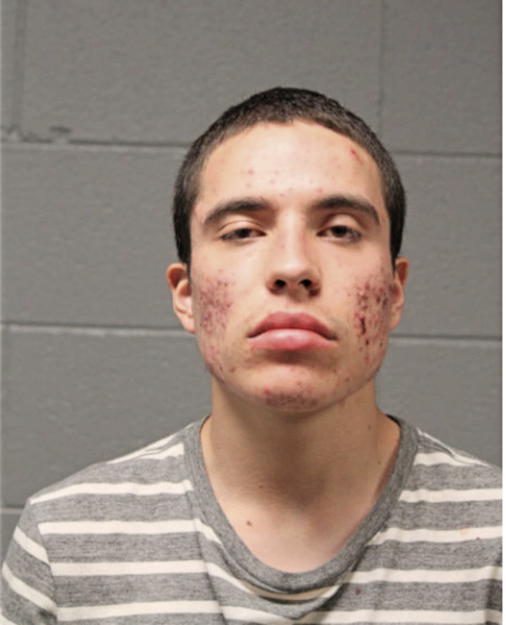 FLAVIO FLORES, Cook County, Illinois