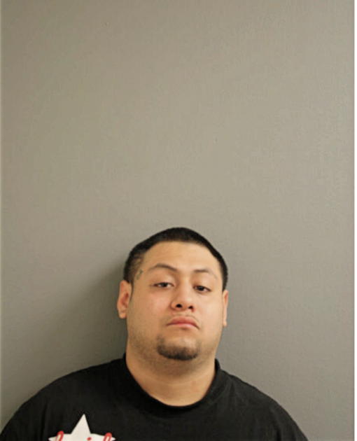 MAX GARCIA, Cook County, Illinois