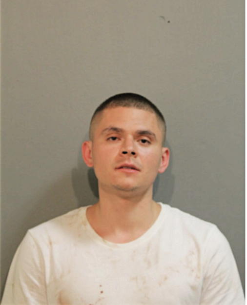 RAFAEL GONZALEZ, Cook County, Illinois