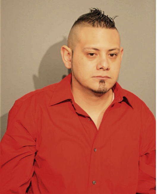 JOSE R HERNANDEZ-RUIZ, Cook County, Illinois