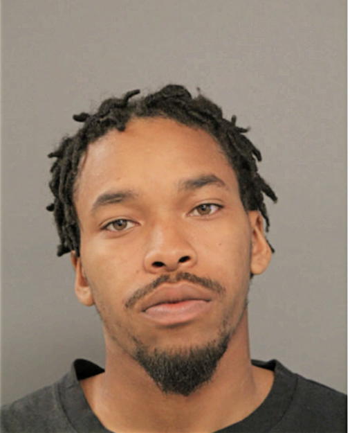 MICHAEL T HODGES, Cook County, Illinois