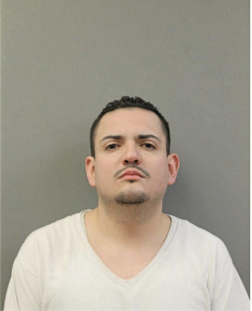 ARTHUR IBARRA, Cook County, Illinois