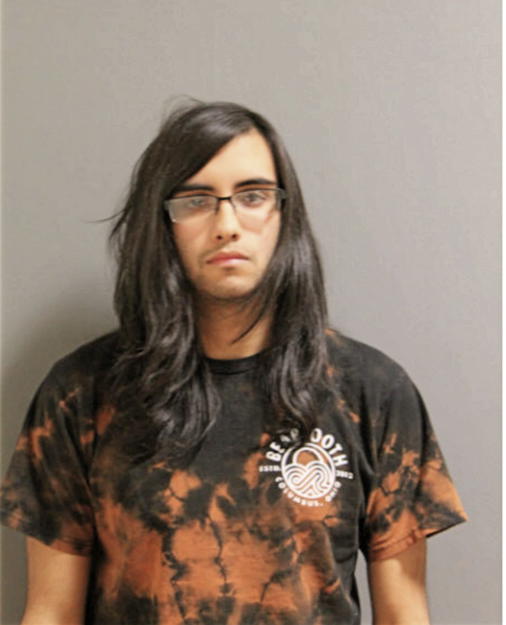 ANDREW LEEMPUTTE, Cook County, Illinois