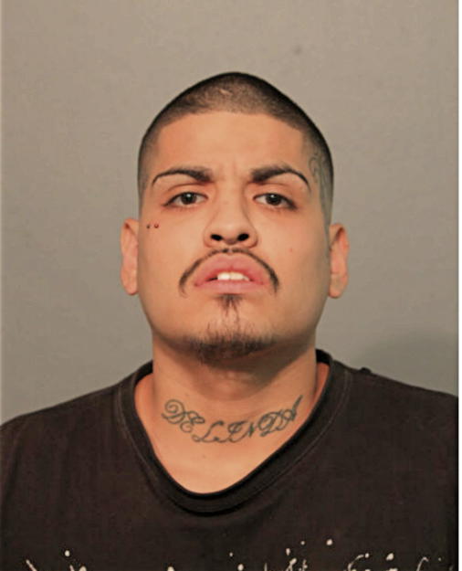 SANTIAGO LEON, Cook County, Illinois