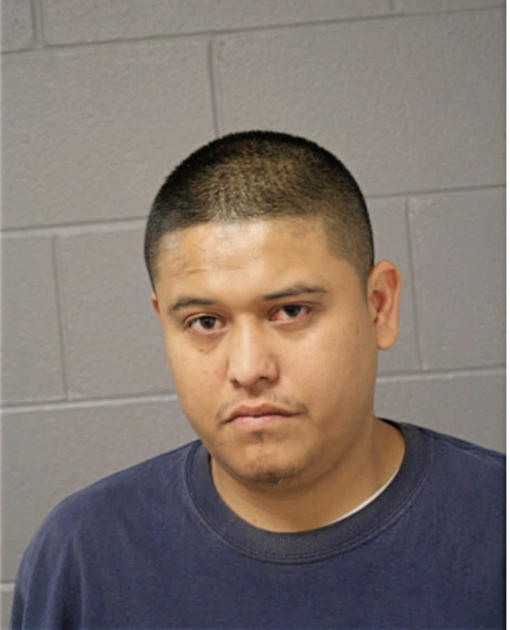 CARLOS MENDEZ, Cook County, Illinois
