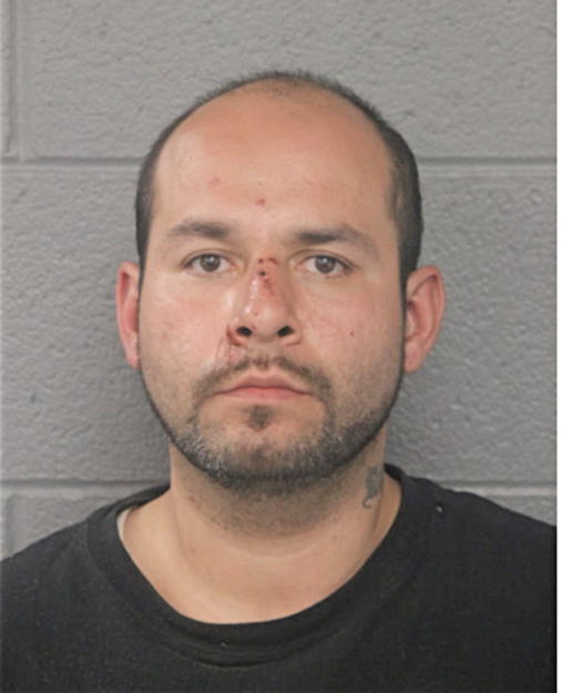 ROBERTO ORTEGA, Cook County, Illinois