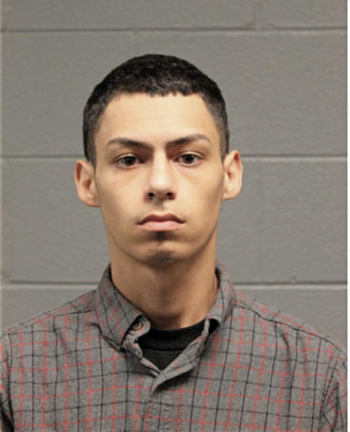 DANIEL N RAMOS, Cook County, Illinois