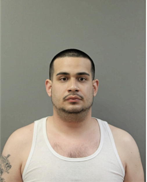 GARY F REATEGUI, Cook County, Illinois
