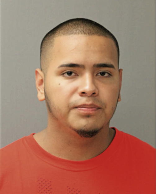 NOE REYES, Cook County, Illinois