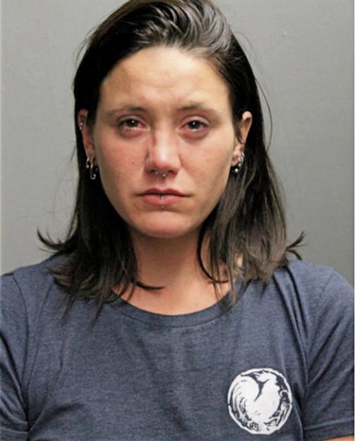 ANNA L SCHEIBE, Cook County, Illinois