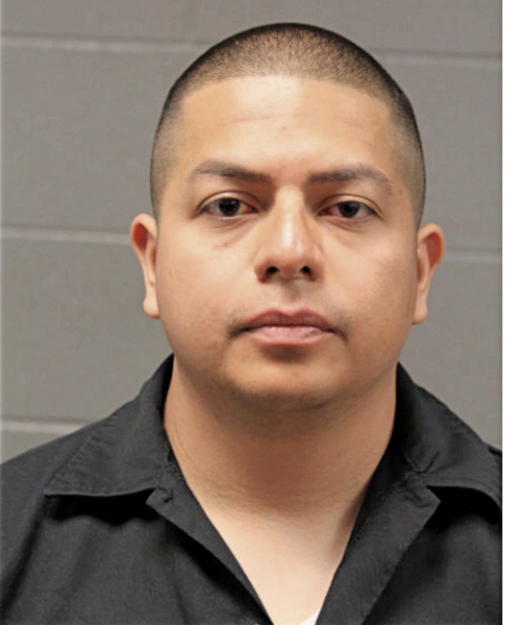 LARA AGUSTIN, Cook County, Illinois