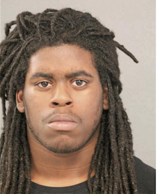 KEVIN L BASS, Cook County, Illinois