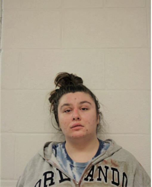 GABRIELLA L CAMPO, Cook County, Illinois