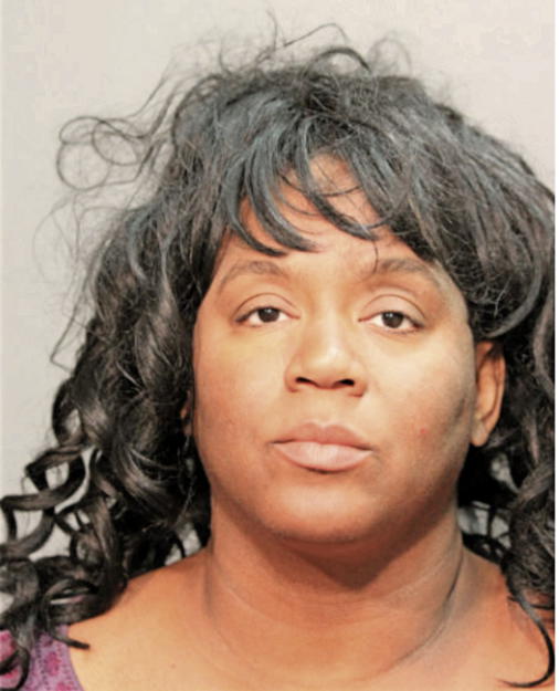 ERICA R FLETCHER, Cook County, Illinois