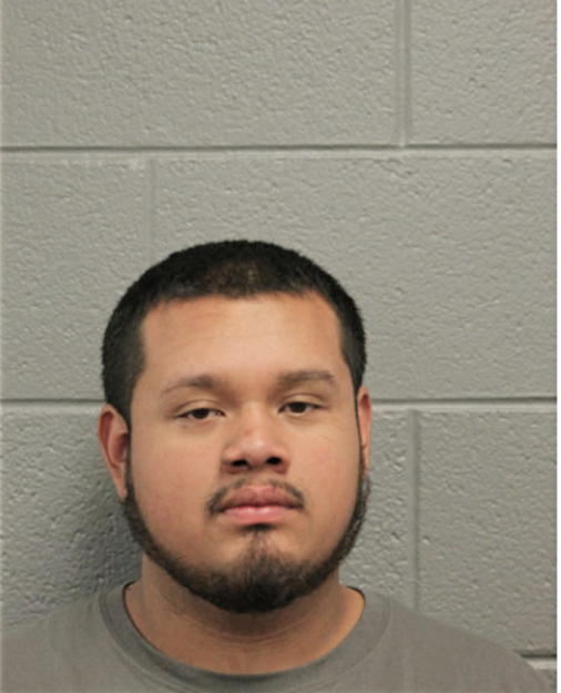 RICARDO FLORES, Cook County, Illinois