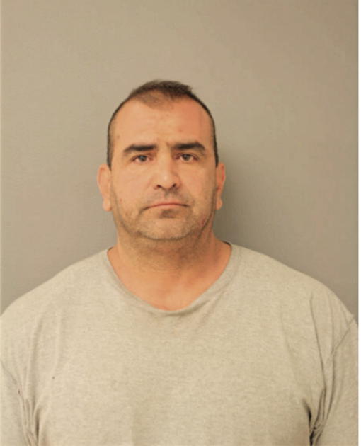 ALBERT M FONTANA, Cook County, Illinois