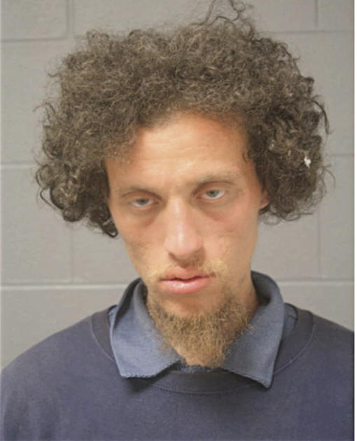 VICTOR A GARCIA, Cook County, Illinois