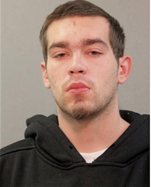 ROBERT A GODINEZ, Cook County, Illinois