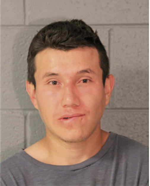 CUAUHTEMOC S GONZALEZ, Cook County, Illinois