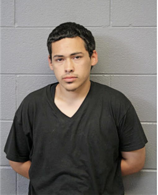 LUIS HERRERA, Cook County, Illinois