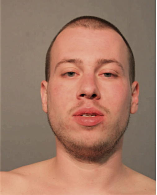 BRENT P LADWIG, Cook County, Illinois