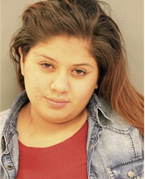 ALEXIS M LONGORIA, Cook County, Illinois