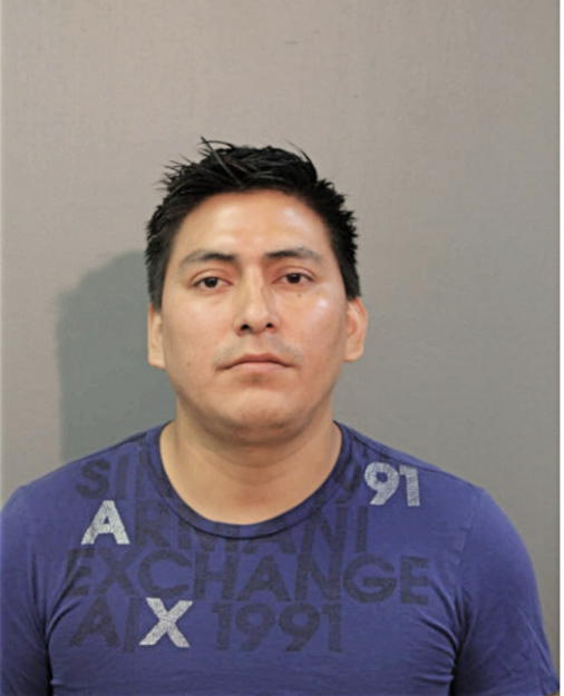 LUIS F NIVELO, Cook County, Illinois