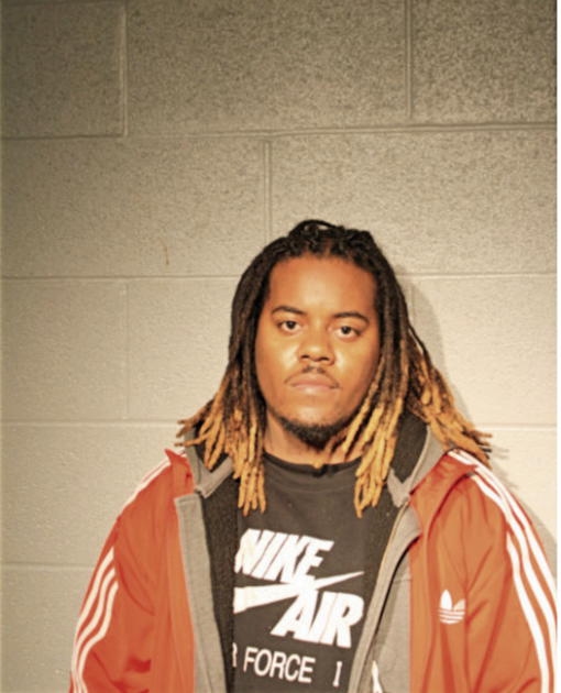 STEVEN L ORR, Cook County, Illinois