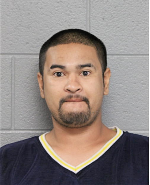 SARONG R HING-GONZALEZ, Cook County, Illinois