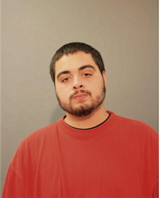 BENNY L RIVERA, Cook County, Illinois