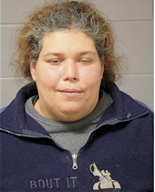 NANCY L VASQUEZ, Cook County, Illinois