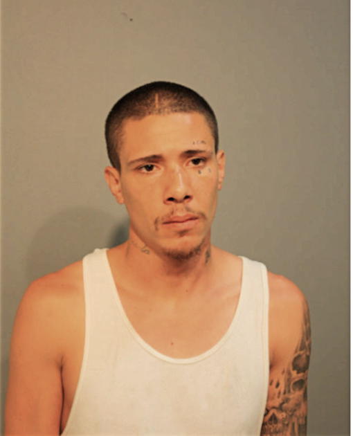 BRIAN WARD, Cook County, Illinois
