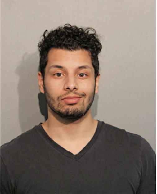 AMEEN AHMAD, Cook County, Illinois