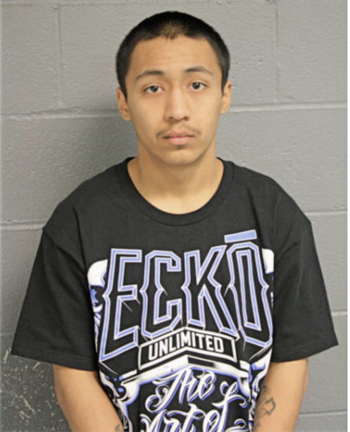 ANTHONY AMAYA, Cook County, Illinois