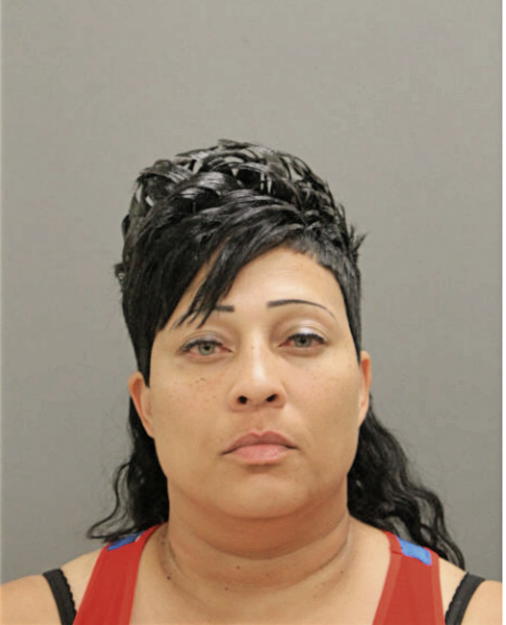 DIANE Y ARCHER, Cook County, Illinois