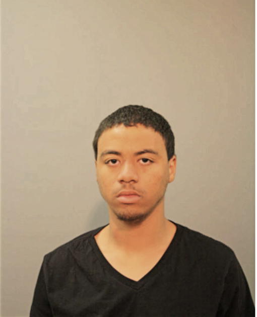 DORIAN E ARNOLD, Cook County, Illinois