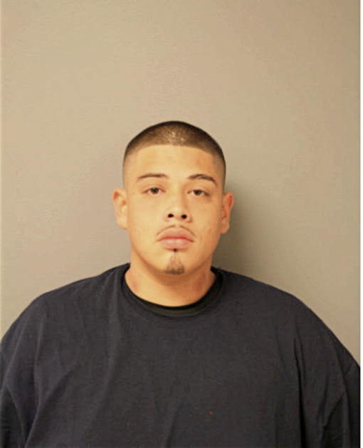 BIAS ARZOLA, Cook County, Illinois