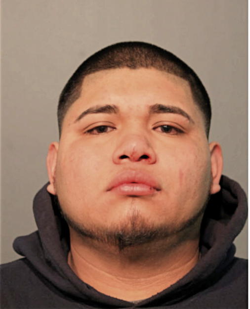 IRVING D AVILES, Cook County, Illinois