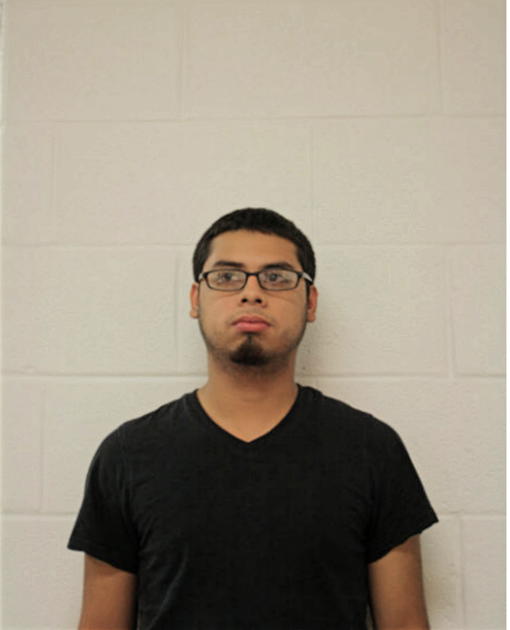 RICARDO BAHENA, Cook County, Illinois