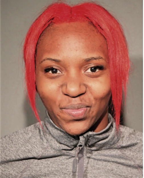 DIERRA M BLUITT, Cook County, Illinois