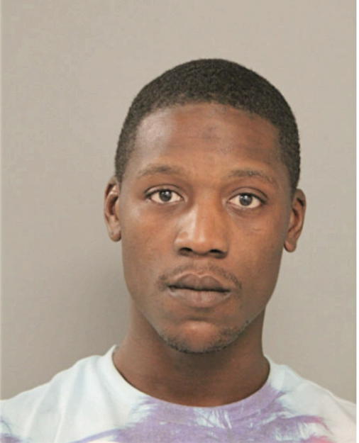 BRIAN D BROWN, Cook County, Illinois