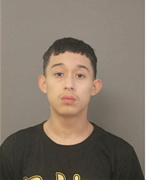 RICARDO J CARDENAS, Cook County, Illinois