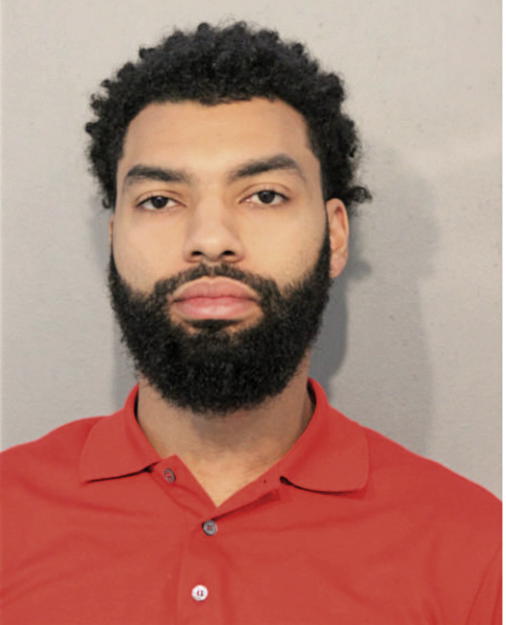 RENE M CHANDLER, Cook County, Illinois