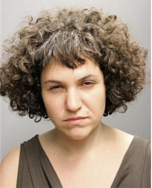 DARCY FANGI, Cook County, Illinois
