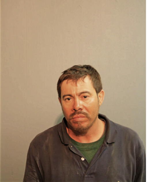 OSCAR L FLORES, Cook County, Illinois