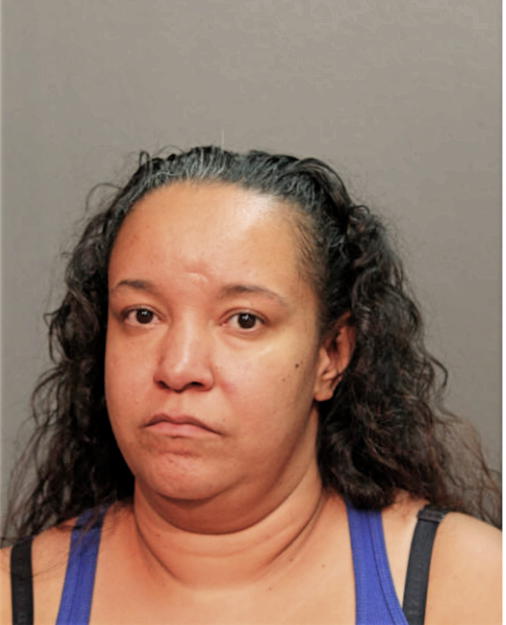 JESSICA A FONSECA, Cook County, Illinois