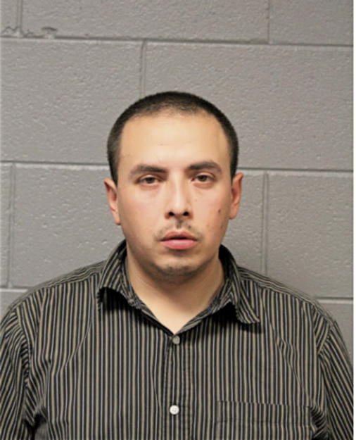 JOSE P GARCIA, Cook County, Illinois