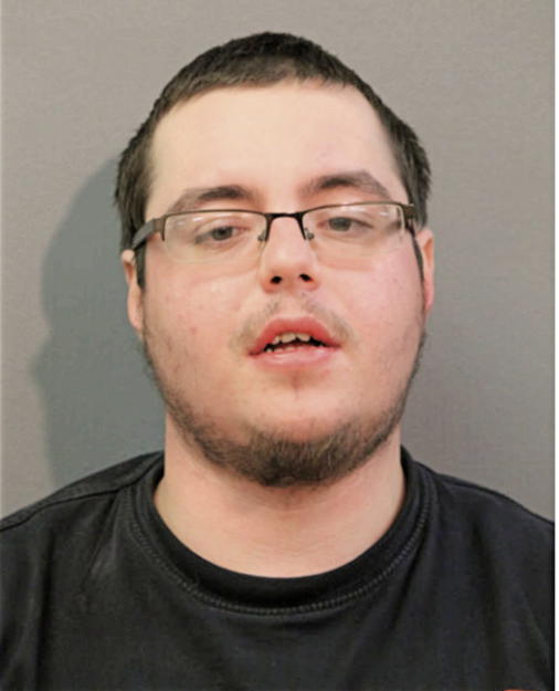 DENNIS GEORGES, Cook County, Illinois